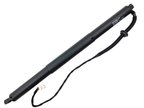 Stabilus 3A-799985 Liftgate Lift Support - view 1