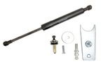 Stabilus 5Z-439091 Tailgate Lift Support - view 1