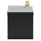 FullRiver FT438-U1R Vehicle Battery - view 5