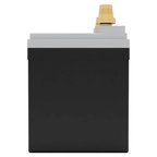 FullRiver FT438-U1 Vehicle Battery - view 5