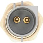 Holstein 2CTS0282 Engine Coolant Temperature Sensor - view 5