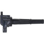 Holstein 2IGC0171 Ignition Coil - view 5
