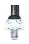 Holstein 2KNC0154 Ignition Knock (Detonation) Sensor - view 1