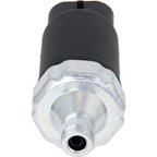 Holstein 2OPS0079 Engine Oil Pressure Switch - view 2