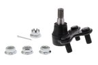 ACKOJA A26-0346 Suspension Ball Joint - Front Lower - view 1