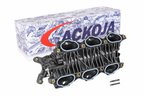ACKOJA A52-9639 Engine Intake Manifold - view 8
