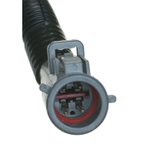 Carter P74992M Fuel Pump Module Assembly - view 4