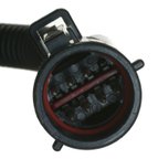 Carter P76055M Fuel Pump Module Assembly - view 6