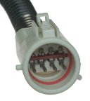 Carter P76303M Fuel Pump Module Assembly - view 6