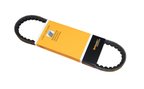 Continental 13X640 Accessory Drive Belt - Power Steering - view 1