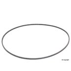 Continental 2PJ800 Serpentine Belt - Fan - view 1