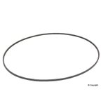 Continental 2PJ860 Serpentine Belt - Fan - view 1