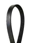 Continental 4030199S Serpentine Belt - Water Pump - view 1
