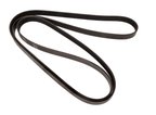 Continental 4061373F Serpentine Belt - Accessory Drive - view 4
