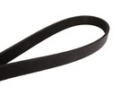 Continental 4061373F Serpentine Belt - Accessory Drive - view 3