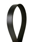 Continental 4070648 Serpentine Belt - view 1