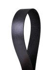 Continental 4120863X Serpentine Belt - view 1