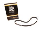 Continental 5PK891SG Serpentine Belt - Air Conditioning, Alternator or Alternator and Power Steering - view 1