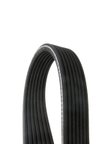 Continental D4071010 Serpentine Belt - Accessory Drive - view 1