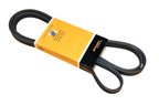 Continental PK050887 Serpentine Belt - Accessory Drive or Alternator and Air Conditioning - view 1
