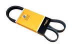 Continental PK060520 Serpentine Belt - Air Conditioning, Alternator or Alternator and Water Pump - view 1