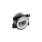 Eagle Eye DS826-B000RCA Fog Light Assembly - Right - view 2
