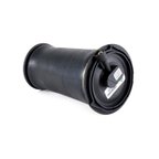 Arnott A-2612 Air Suspension Spring - Rear - view 4
