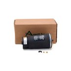 Arnott A-2737 Air Suspension Spring - Rear Left - view 4