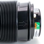 Arnott A-5350 Air Suspension Spring - Rear - view 5