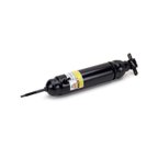 Arnott AS-2121 Air Suspension Shock - Rear - view 2