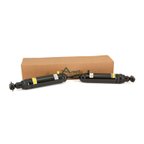 Arnott AS-2190 Air Suspension Shock - Rear - view 5
