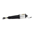 Arnott AS-2560 Air Suspension Strut - Front Right - view 1