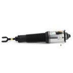 Arnott AS-2561 Air Suspension Strut - Front Left - view 1
