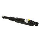 Arnott AS-2715 Air Suspension Shock - Rear - view 4