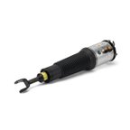 Arnott AS-2775 Air Suspension Strut - Front Right - view 2