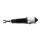 Arnott AS-2775 Air Suspension Strut - Front Right - view 1