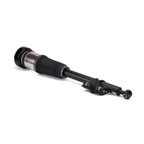 Arnott AS-2822 Air Suspension Strut - Rear Left - view 2
