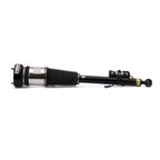 Arnott AS-2822 Air Suspension Strut - Rear Left - view 1