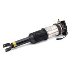 Arnott AS-2959 Air Suspension Strut - Rear Left - view 2