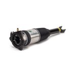 Arnott AS-2969 Air Suspension Strut - Rear Left - view 1