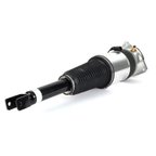 Arnott AS-3030 Air Suspension Strut - Rear Right - view 1