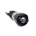 Arnott AS-3037 Air Suspension Strut - Front Right - view 1