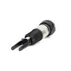 Arnott AS-3038 Air Suspension Strut - Front Left - view 1