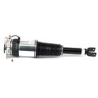 Arnott AS-3130 Air Suspension Strut - Rear Left - view 3