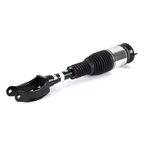 Arnott AS-3156 Air Suspension Strut - Front Left - view 1