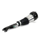 Arnott AS-3160 Air Suspension Strut - Front Right - view 1