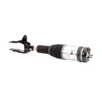 Arnott AS-3251 Air Suspension Strut - Front Left - view 1