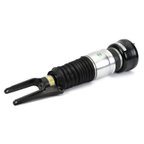 Arnott AS-3346 Air Suspension Strut - Front Left - view 1