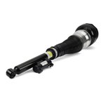 Arnott AS-3361 Air Suspension Strut - Rear Left - view 1