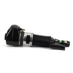Arnott AS-3372 Air Suspension Strut - Front Right - view 4